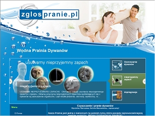 Sprawne czyszczenie dywanów